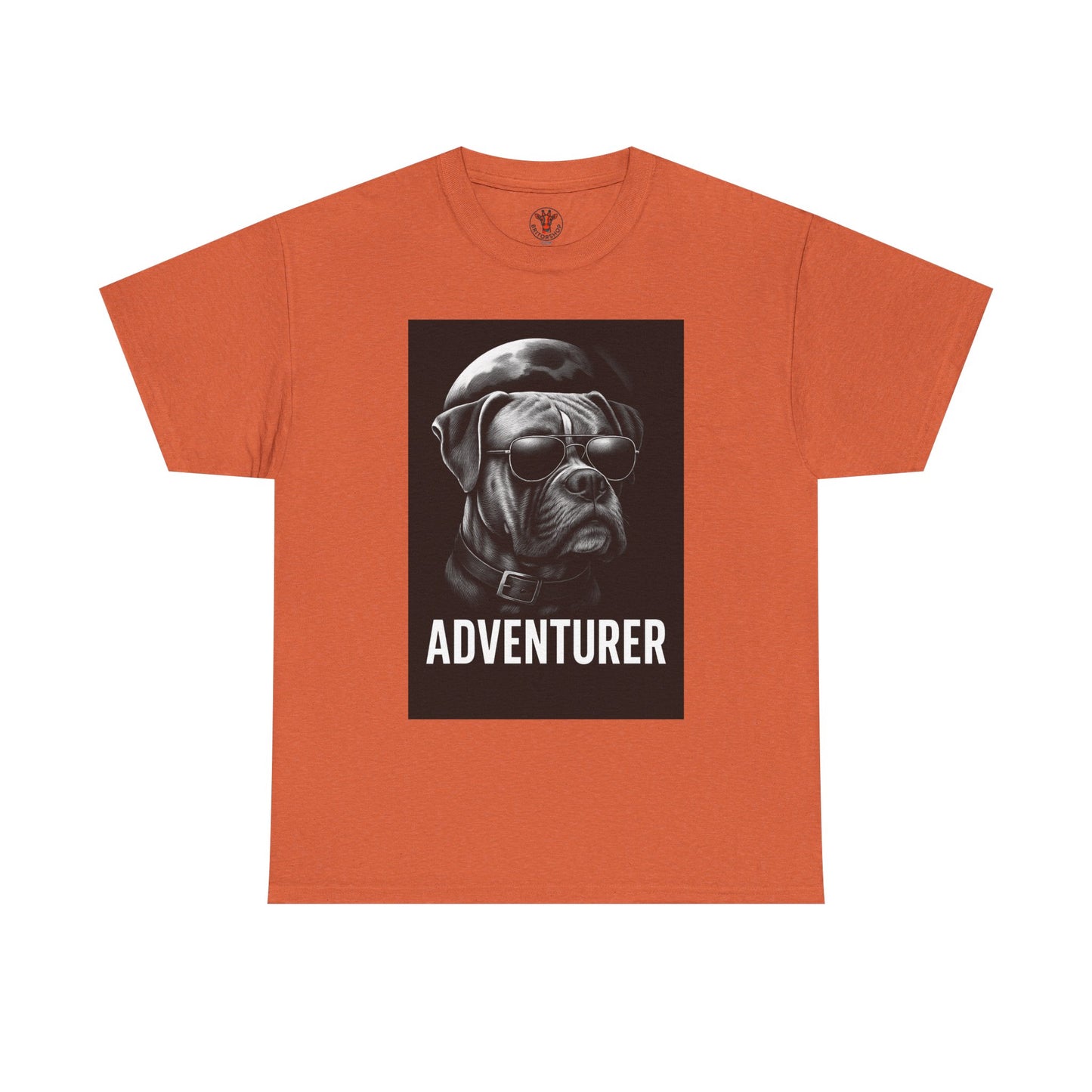 Boxer Adventure Night Walks Tee